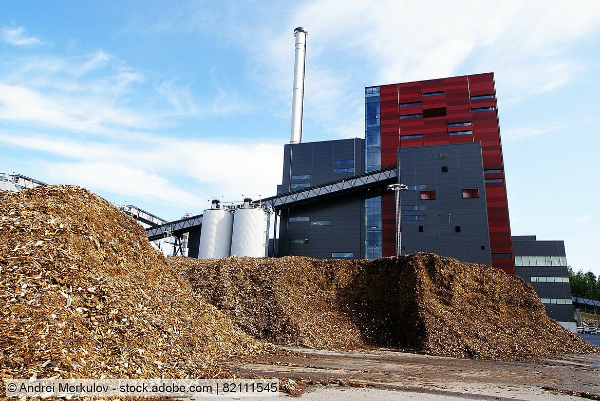 Altholzberg vor einem Biomassekraftwerk