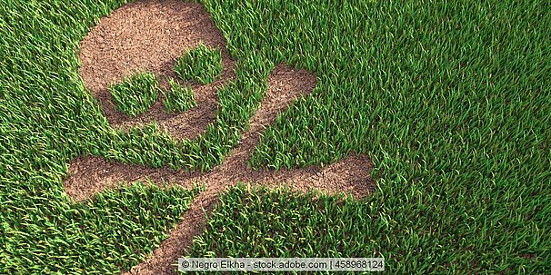Ein Totenkopfsymbol ist in den Rasen gemäht.