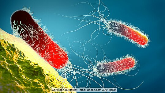 3D-Grafik von antibiotikaresistenten Erregern