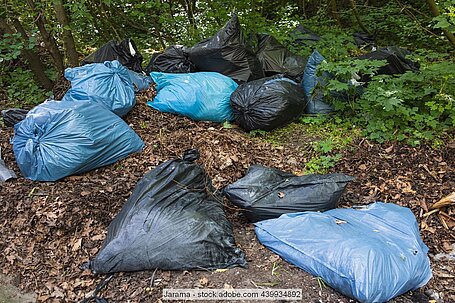 Gefüllte Müllsäcke in verschiedenen Farben auf Waldboden vor Bäumen und Gestrüpp