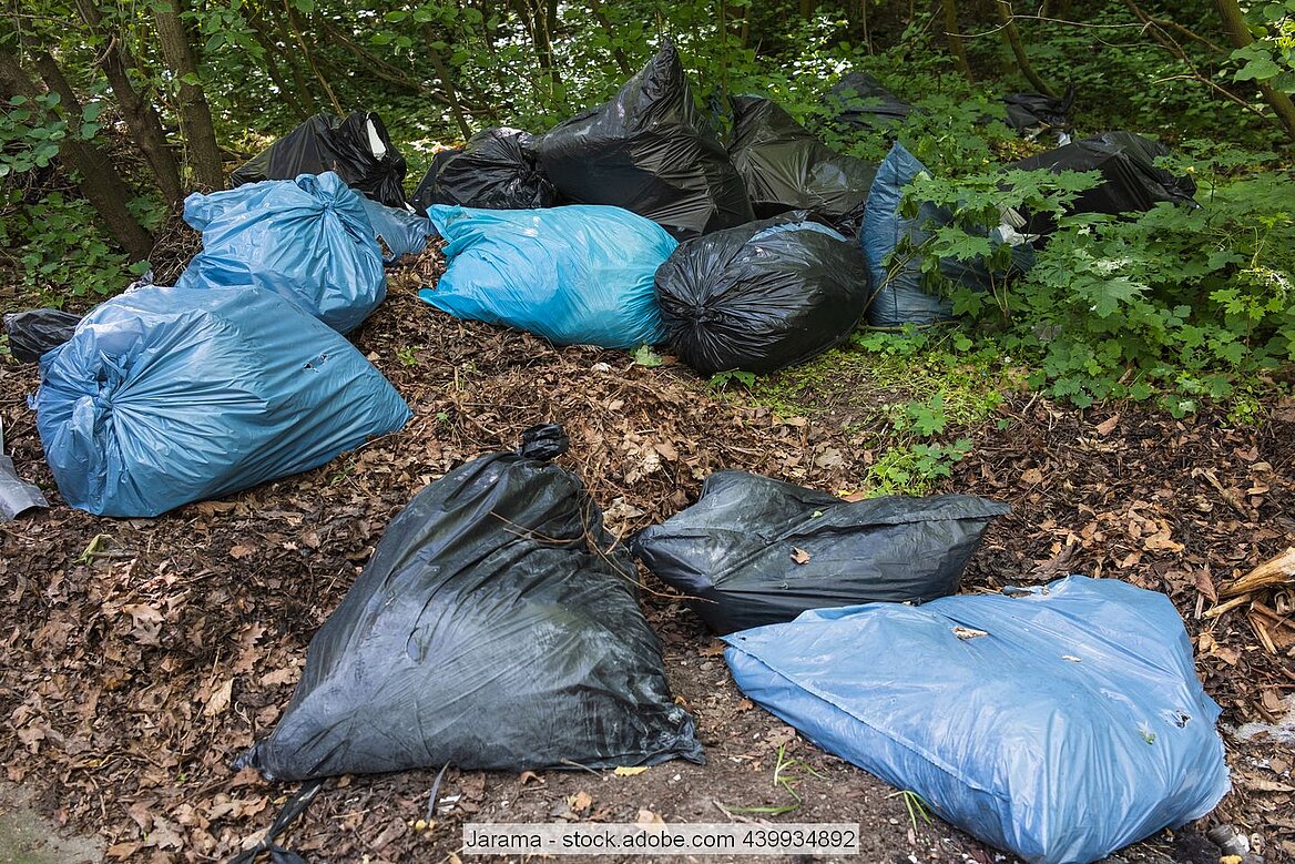Gefüllte Müllsäcke in verschiedenen Farben auf Waldboden vor Bäumen und Gestrüpp