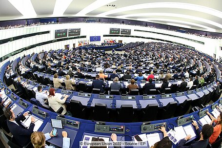 Abstimmung im Plenum des EU-Parlaments während der Sitzung Anfang Juni.