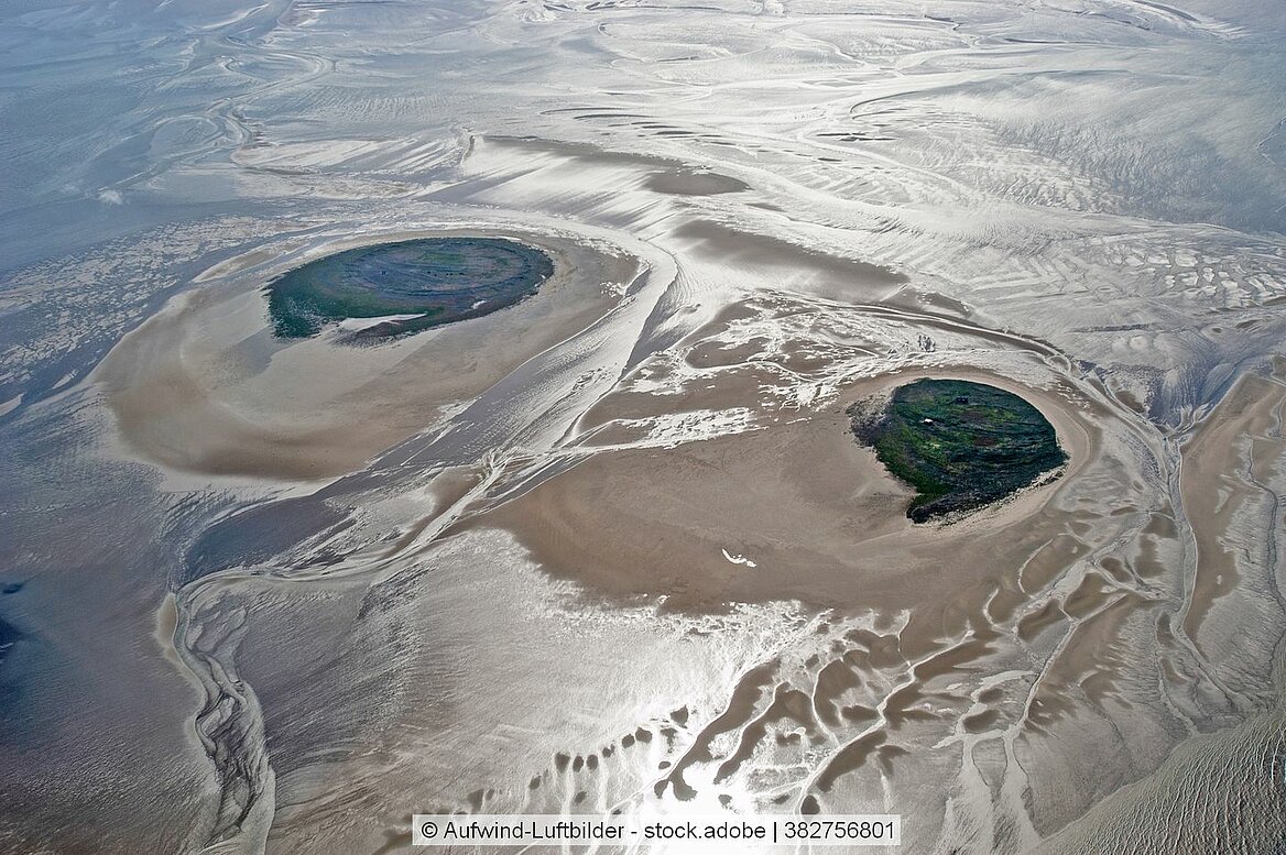 Luftbild der Insel Scharhörn in der Nordsee