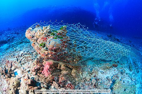 Meeresmüll liegt auf dem Grund des Meeres in einem Fischernetz.