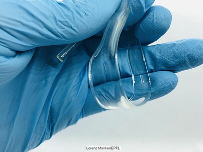 Highly transparent and flexible strand of the bioplastic
