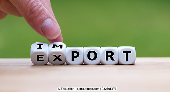 Würfel mit Buchstaben darauf in einer Reihe, sie bilden das Wort "Import" bzw. "Export"