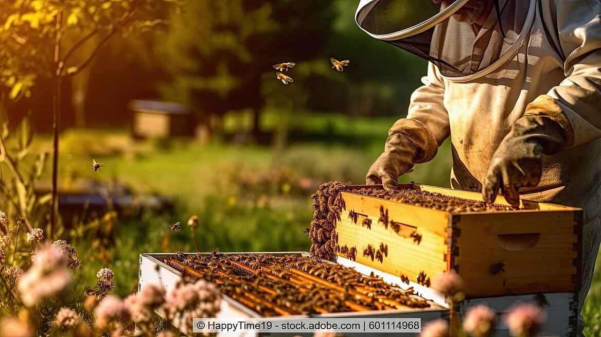Ein Imker steht vor seinen Bienenkästen.