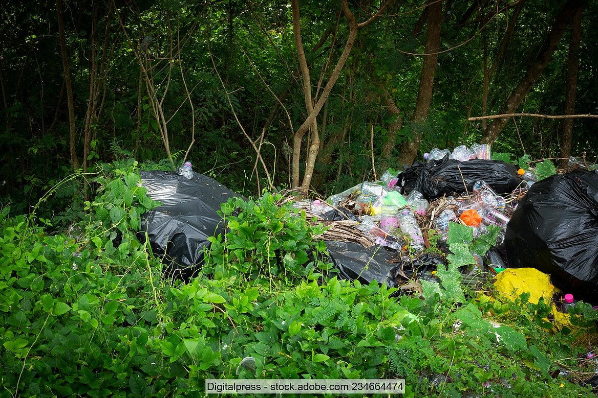 Schwarze Müllsäcke und lose Abfälle unter Bäumen und zwischen Sträuchern