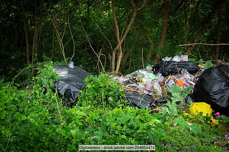 Schwarze Müllsäcke und lose Abfälle unter Bäumen und zwischen Sträuchern