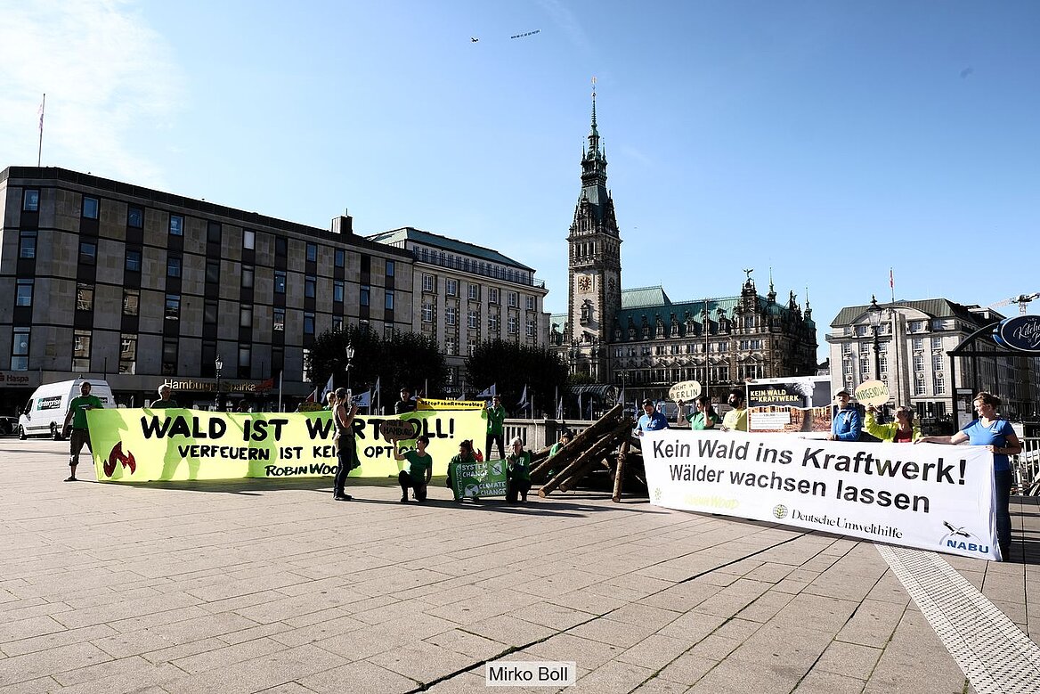 Protest gegen geplante Holzverbrennung in Tiefstack