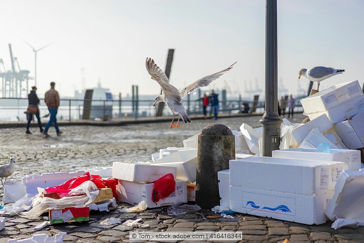 Eine Möwe landet im Hamburger Hafen auf wild abgelagertem Abfall.