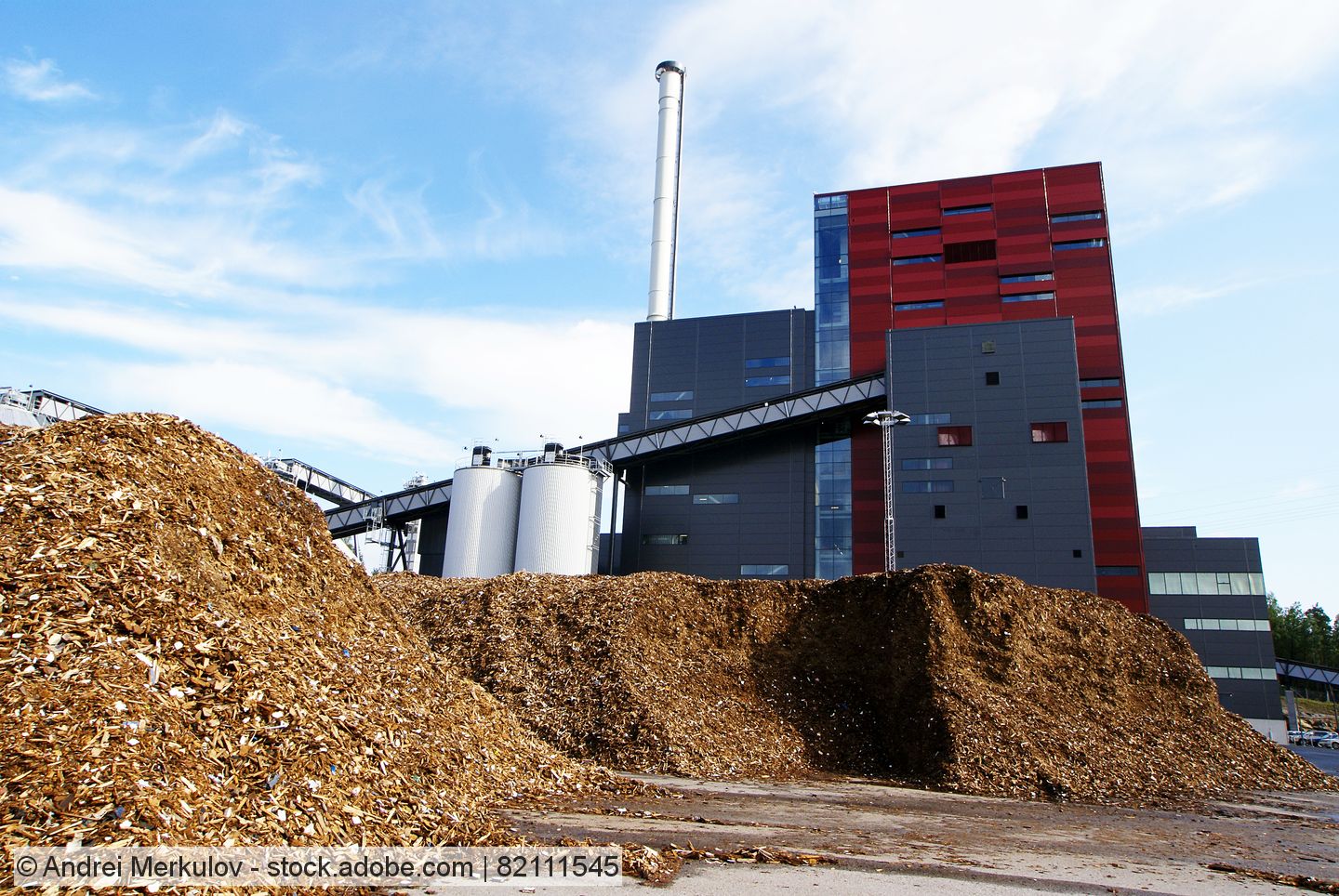 Biomassekraftwerk mit Hackschnitzel davor