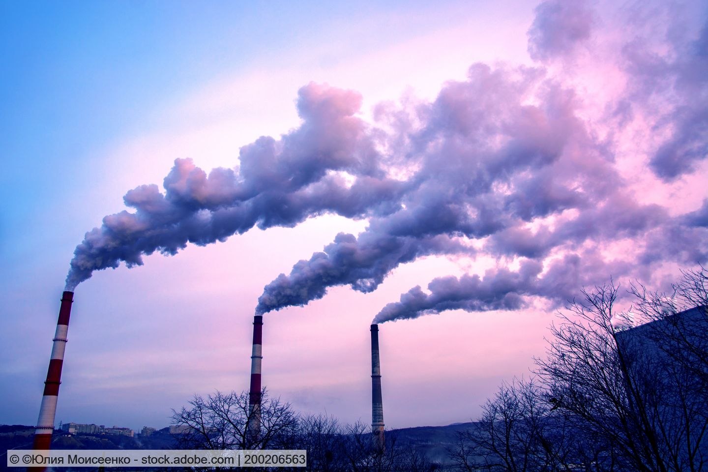 Ecoprog: Müllverbrennung wächst weiter in Europa