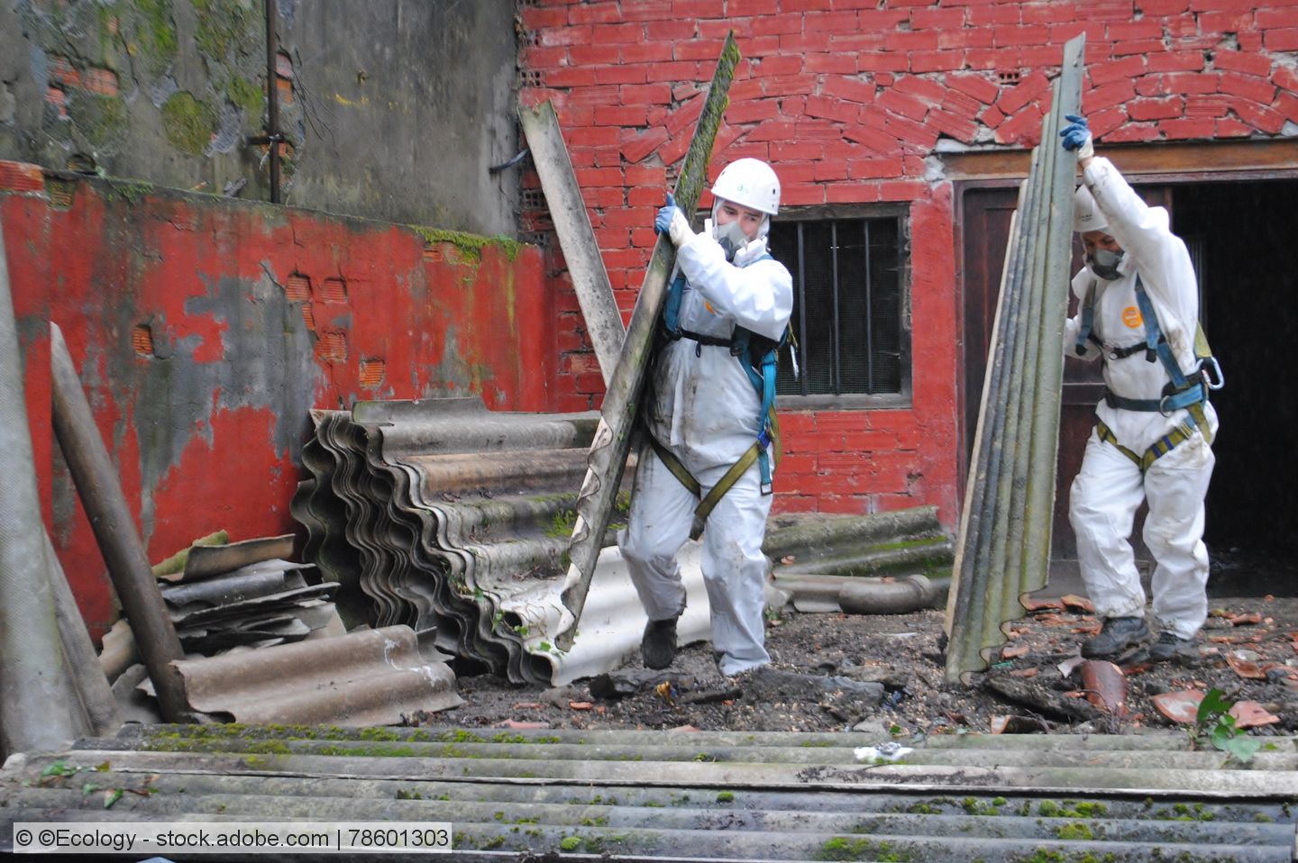Asbestentsorgung: Verbände fordern Erkundungspflicht des Bauherrn