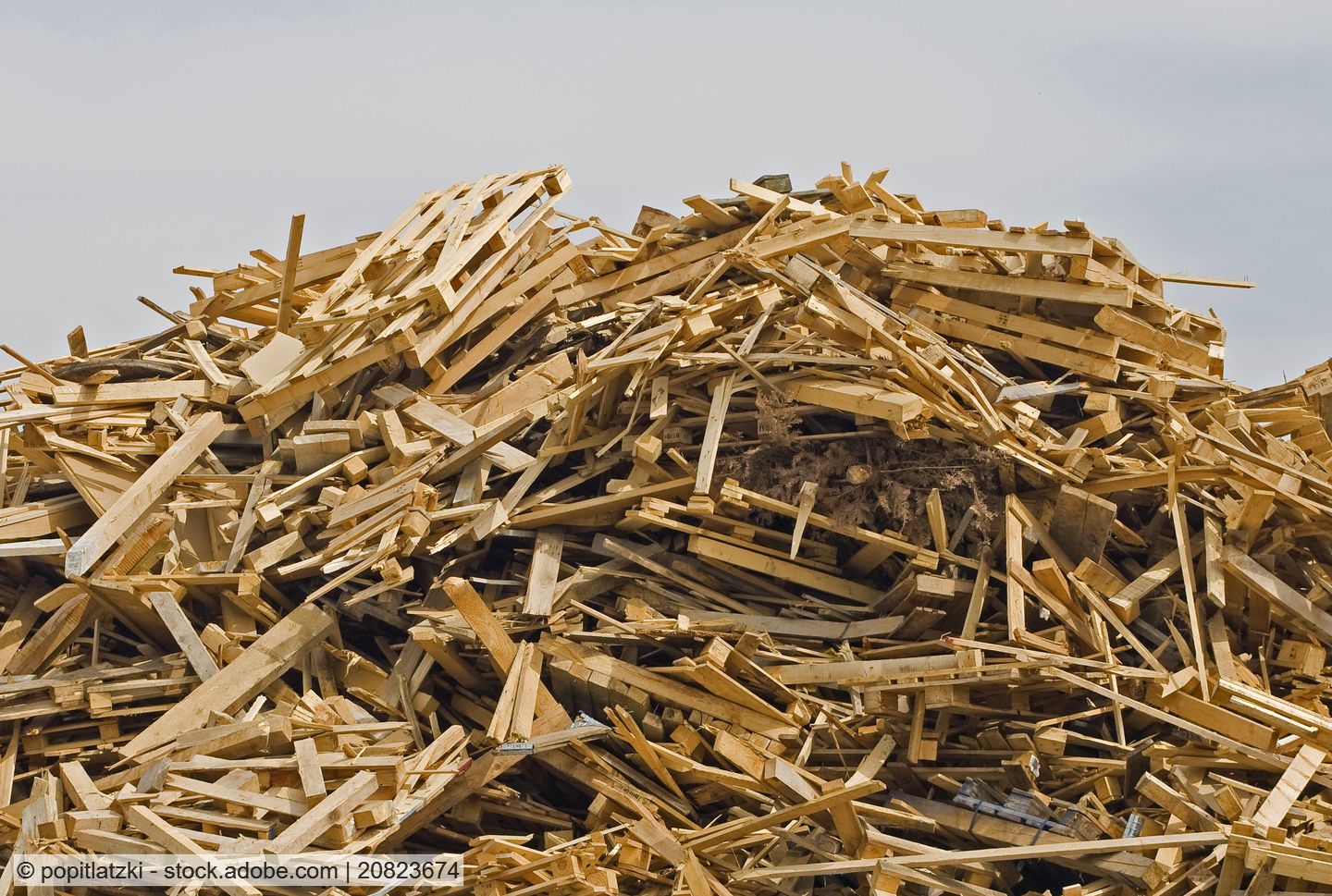 Stoffliche Verwertung von Altholz in den vergangenen Jahren erheblich gestiegen