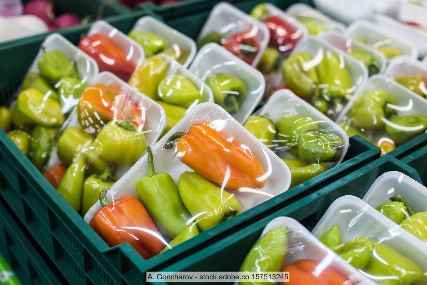 Rote und grüne Gemüsepaprika in Schalenverpackung aus Kunststoff mit Stretchfolie