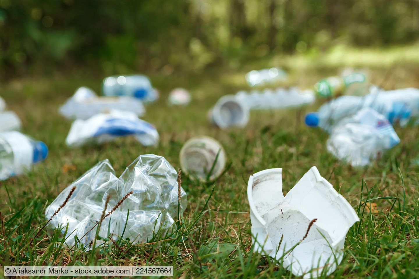 Zerdrückte weggeworfene Kunststoffflaschen und -becher auf einer Rasenfläche