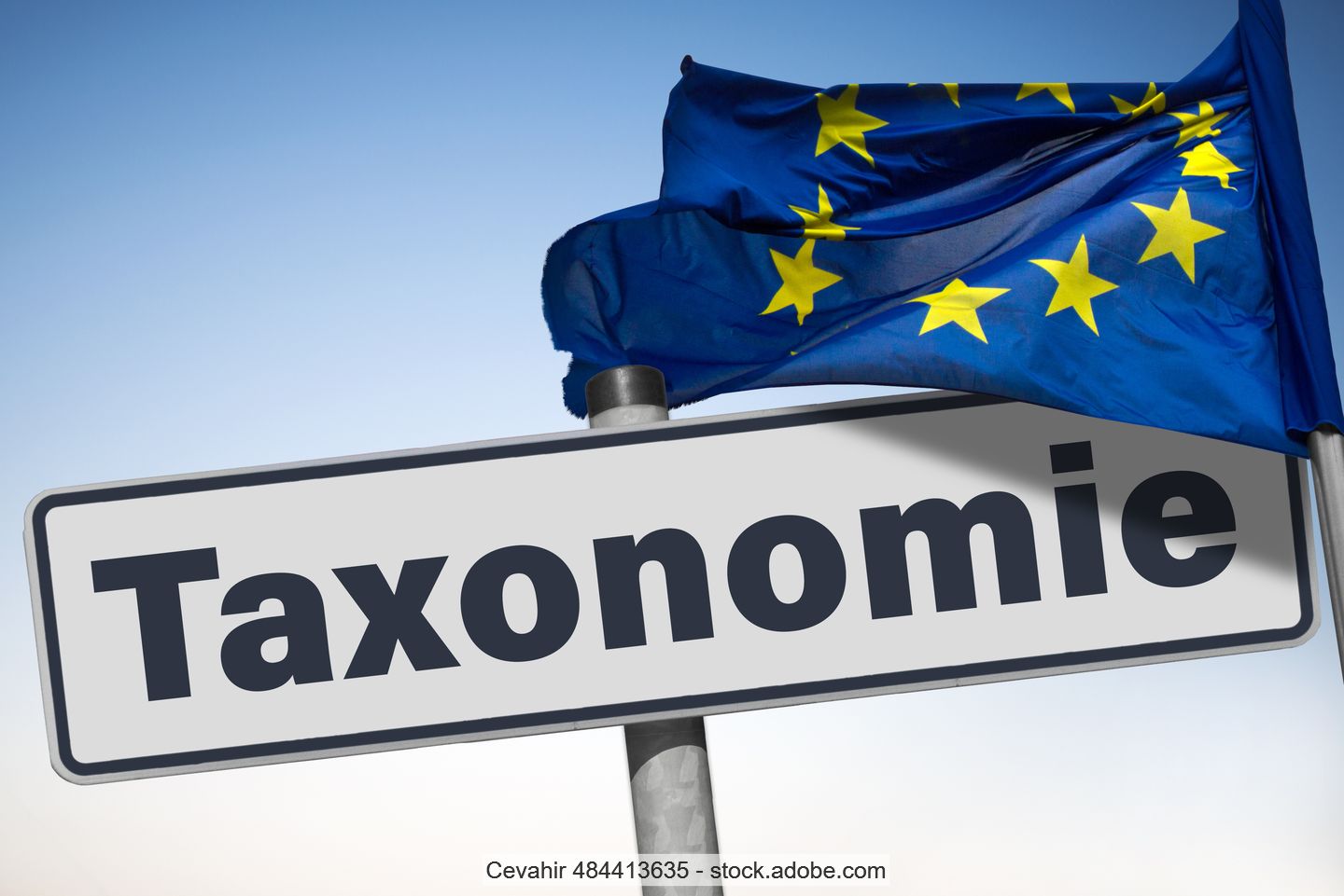 Symbolbild: weißes Schild mit schwarzer Aufschrift "Taxonomie" neben Fahnenmast mit der EU-Flagge