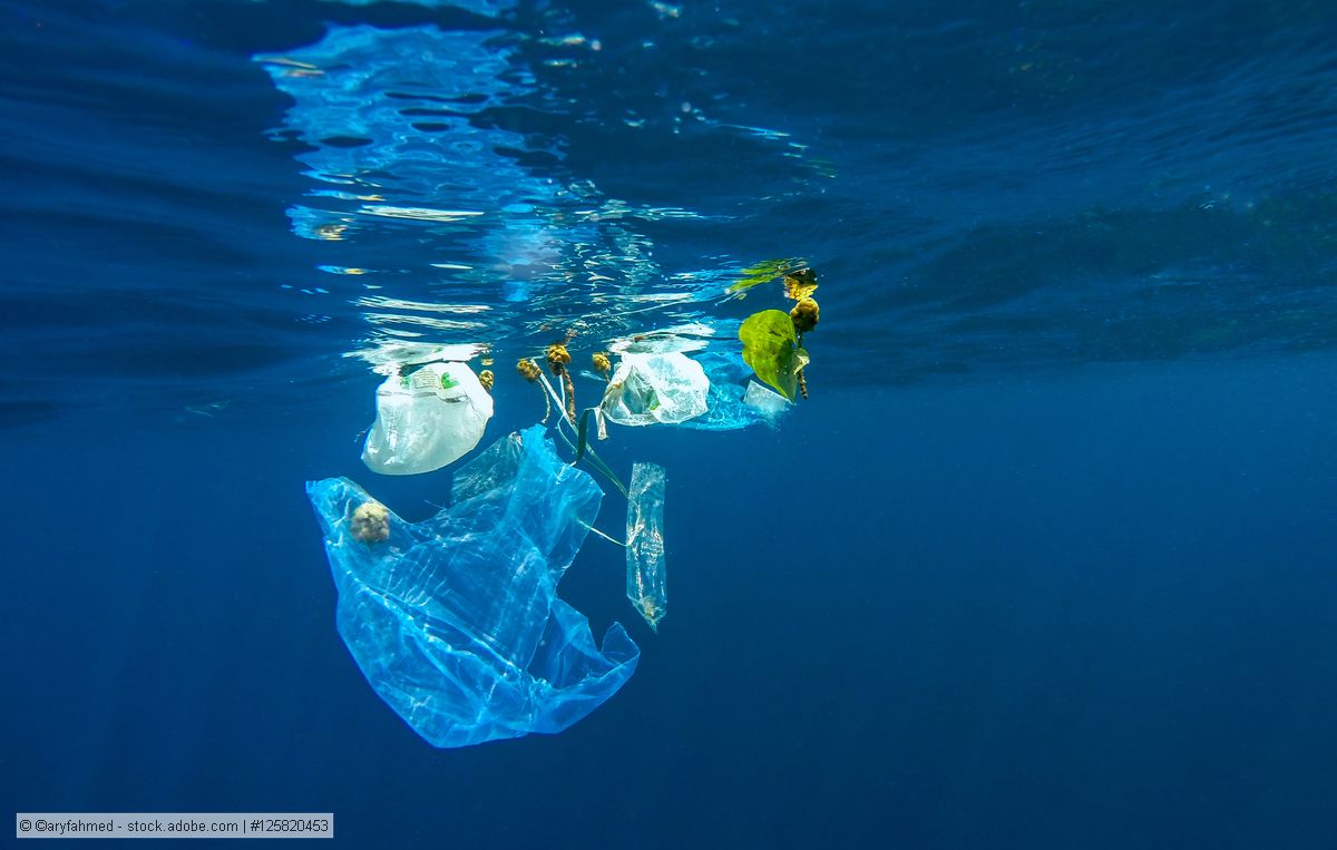 Konzerne gründen Allianz gegen Plastikmüll in der Umwelt