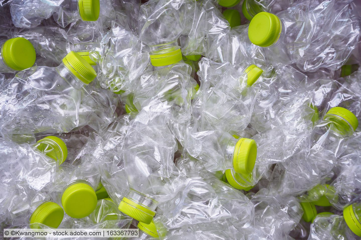 Carbios: Erste PET-Flaschen aus 100 Prozent Recyclingmaterial